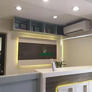 Midori ** Davao